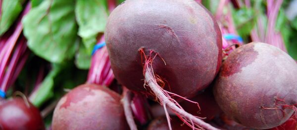 Кызылча. Архив - Sputnik Кыргызстан