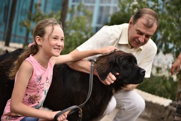 Щенок ньюфаундленда, подаренный девочке Даше из Балыкчы президентом РФ Путиным - Sputnik Кыргызстан