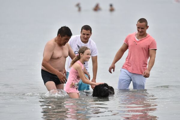 Дар впервые окунулся в воды Иссык-Куля - Sputnik Кыргызстан