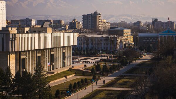 Филармониянын алдынан Бишкеке көрүнүш. Архив - Sputnik Кыргызстан