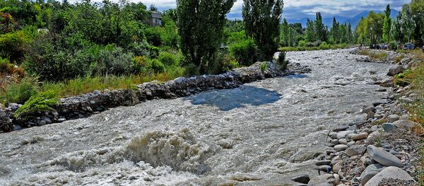 Дарыя. Архив Дарыя. Архив - Sputnik Кыргызстан