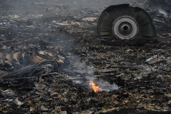 На месте крушения малайзийского самолета Boeing 777 в районе города Шахтерск Донецкой области. Архивное фото - Sputnik Кыргызстан