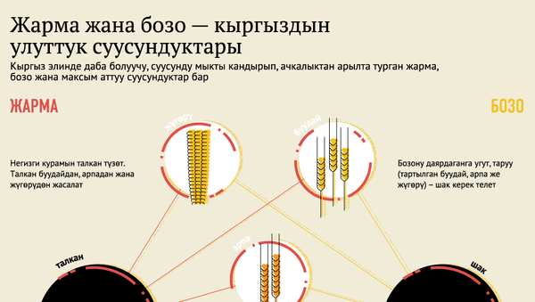 Жарма жана бозо — кыргыздын улуттук суусундуктары - Sputnik Кыргызстан