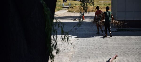 Вопрос МП Зеленстрой: почему деревья сохнут выборочно? Вопрос МП Зеленстрой: почему деревья сохнут выборочно? - Sputnik Кыргызстан