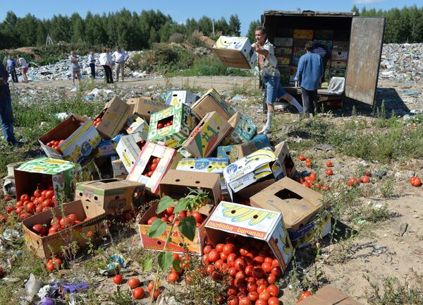 Уничтожение помидоров, задержанных на российско-белорусской границе. Архивное фото - Sputnik Кыргызстан