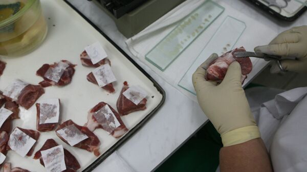Проверка качества мяса в лаборатории. Архивное фото - Sputnik Кыргызстан