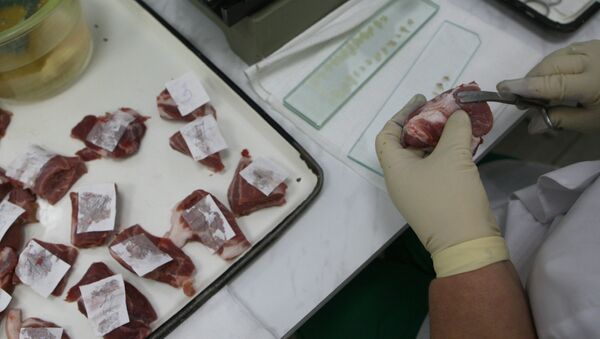 Проверка качества мяса в лаборатории ветеринарно-санитарной экспертизы. Архивное фото - Sputnik Кыргызстан