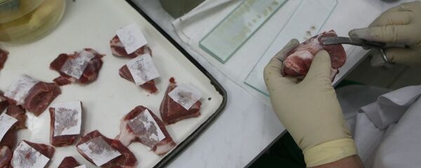 Проверка качества мяса в лаборатории ветеринарно-санитарной экспертизы. Архивное фото - Sputnik Кыргызстан