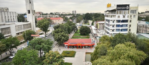 Айчүрөк дүр-дүйнө дүкөнүнү. Архив - Sputnik Кыргызстан