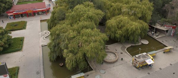 Вид на фонтан у ЦУМа в городе Бишкек. Архивное фото - Sputnik Кыргызстан