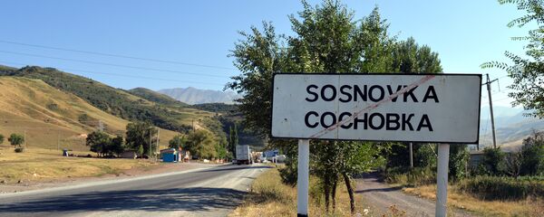 Сосновка айылынын боюндагы жол. Архивдик сүрөт - Sputnik Кыргызстан