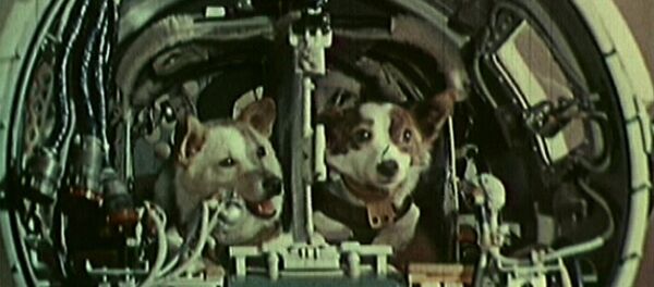 Космическая одиссея Белки и Стрелки. Кадры из архива - Sputnik Кыргызстан