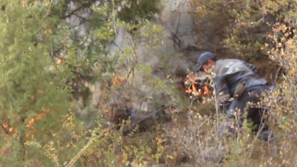 Тушение пожара в ущелье Чычкан — кадры с места событий - Sputnik Кыргызстан