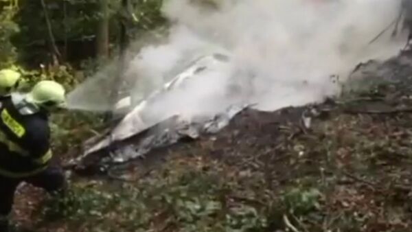Пожарные тушили догоравшие обломки столкнувшихся самолетов L-410 в Словакии - Sputnik Кыргызстан