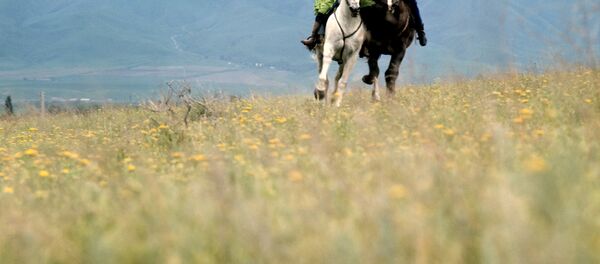 Жених и невеста играют в национальную игру Кыз куумай - Sputnik Кыргызстан