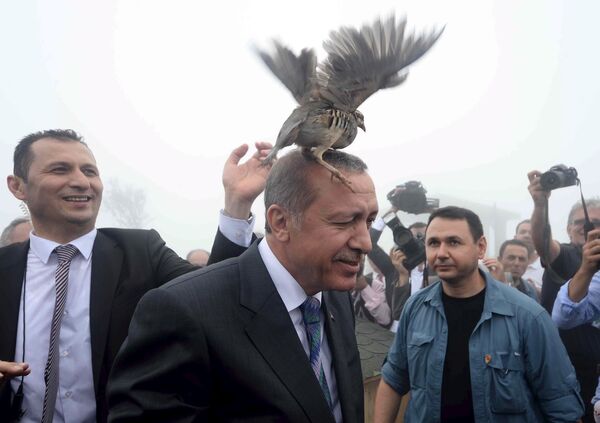 Президент Турции Реджеп Эрдоган посетил центр Министерства лесного и водного хозяйства в Ризе. - Sputnik Кыргызстан