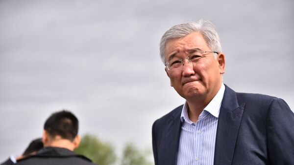 Архивное фото председателя Государственной таможенной службы Кыргызстана Кубанычбека Кулматова - Sputnik Кыргызстан