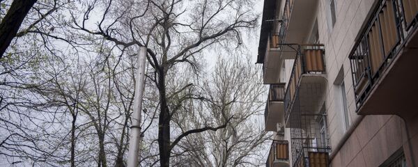 Көп кабатту үй. Архив - Sputnik Кыргызстан