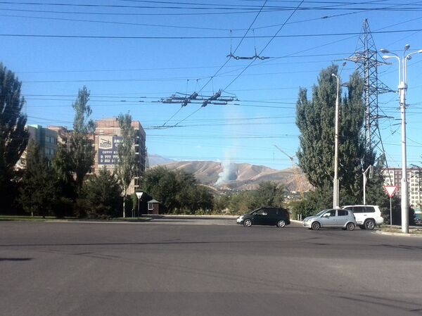 Вид из города на пожар в селе Чон-Арык  - Sputnik Кыргызстан