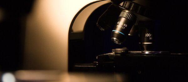 Современный электронный микроскоп. Архивное фото - Sputnik Кыргызстан