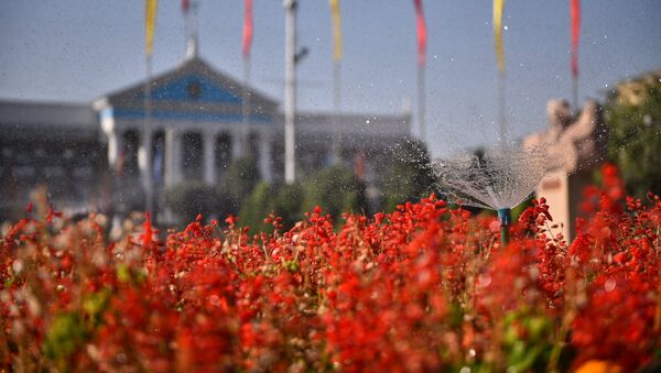 Полив цветов у здания мерии Бишкека. Архивное фото - Sputnik Кыргызстан