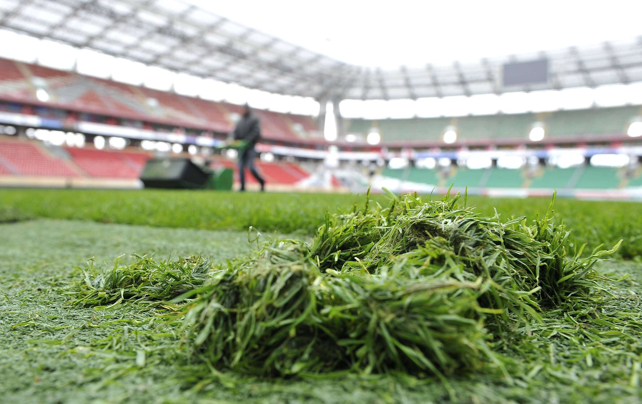 Трава для стадиона. Стадион трава. Скошенная трава поле футбольное. Свежескошенная трава. Покрытие стадиона зелень.