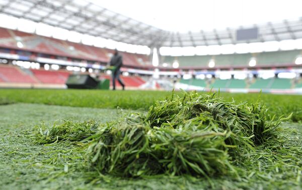 Скошенная трава на футбольном поле. Архивное фото - Sputnik Кыргызстан