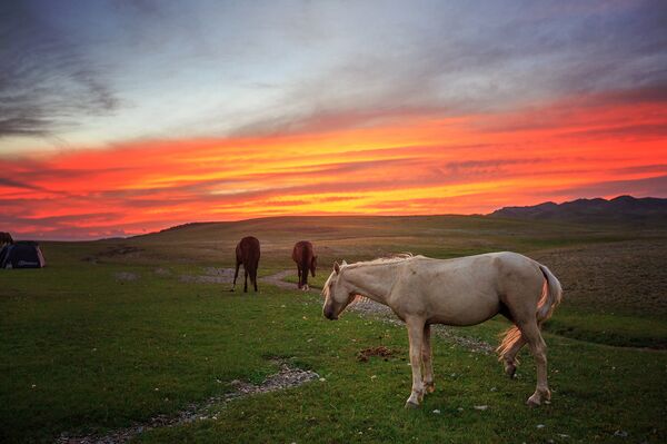 Закат в горах Ала-Тоо. Архивное фото - Sputnik Кыргызстан