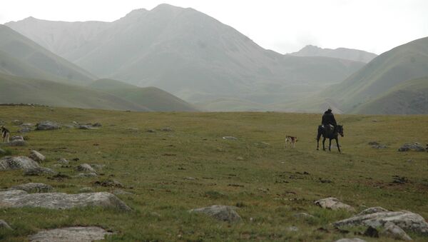 Пастух в джайлоо в Кыргызстане. Архивное фото - Sputnik Кыргызстан