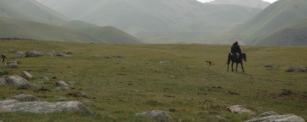 Пастух на джайлоо в Кыргызстане. Архивное фото - Sputnik Кыргызстан