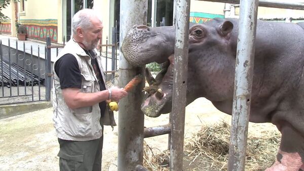 Посетители кормили животных в открывшемся после наводнения зоопарке в Тбилиси - Sputnik Кыргызстан