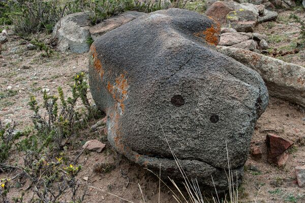 На камнях изображены рисунки, некоторым из них около четырех тысяч лет. - Sputnik Кыргызстан