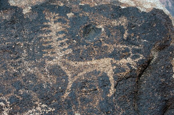 На камнях обычно изображали оленей и верблюдов - Sputnik Кыргызстан