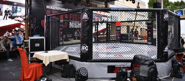 Восьмиугольник, архивное фото - Sputnik Кыргызстан