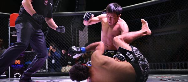 Чемпионат ММА JFC в Бишкеке. - Sputnik Кыргызстан