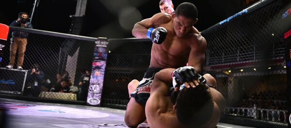 Бойцы на турнире ММА. Архивное фото - Sputnik Кыргызстан