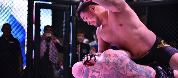 Чемпионат ММА JFC в Бишкеке. - Sputnik Кыргызстан