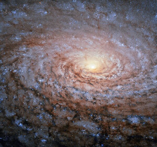 Новые фотографии галактики NGC 3521. - Sputnik Кыргызстан