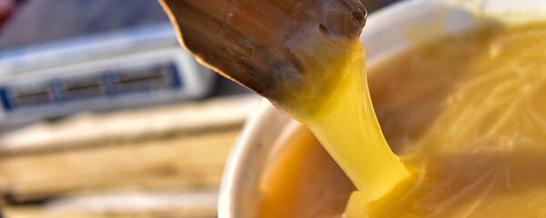 Кыргызстандын балы. Архив - Sputnik Кыргызстан