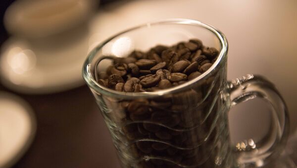 Зерна кофе в чашке. Архивное фото - Sputnik Кыргызстан