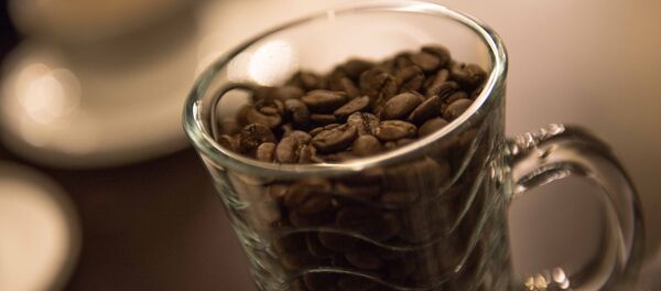 Зерна кофе в чашке. Архивное фото Зерна кофе в чашке. Архивное фото - Sputnik Кыргызстан