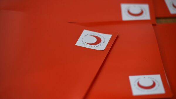 Папка с логотипом фонда Красного полумесяца. Архивное фото - Sputnik Кыргызстан