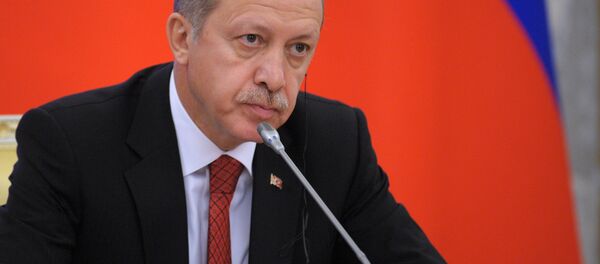 Түркиянын президенти Тайып Эрдоган. Архив - Sputnik Кыргызстан