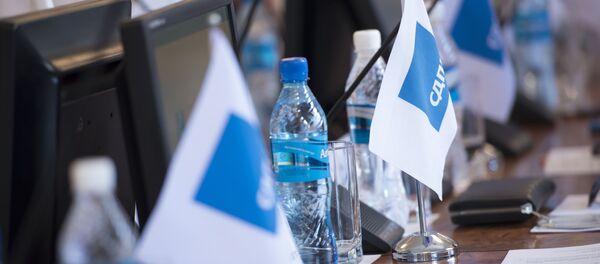 Флажок с логотипом социал-демократической партии Кыргызстана (СДПК). Архивное фото - Sputnik Кыргызстан