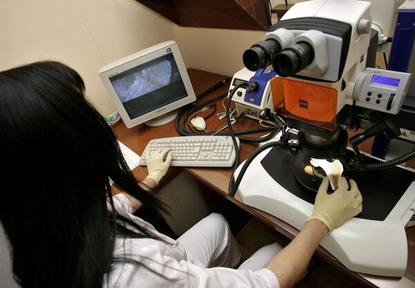Изучение механического повреждения костной ткани в лаборатории медицинской криминалистики. Архивное фото - Sputnik Кыргызстан