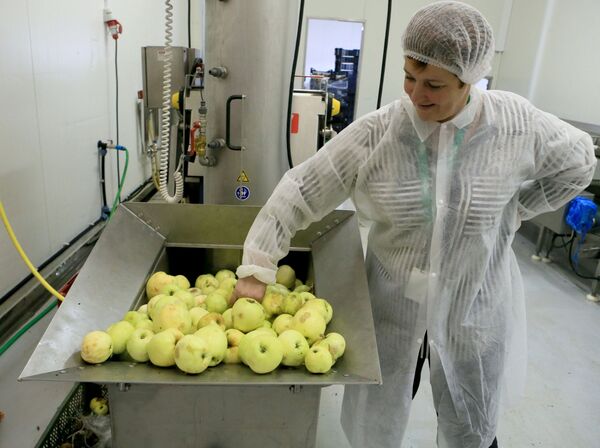 Производство яблочного сока - Sputnik Кыргызстан