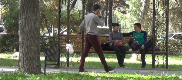 Эксперимент Мусор мимо урны вызвал негативные эмоции бишкекчан - Sputnik Кыргызстан