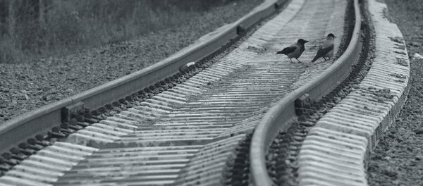 Строительство малого кольца МЖД - Sputnik Кыргызстан