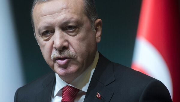 Президент Турецкой республики Реджеп Тайип Эрдоган. Архивное фото - Sputnik Кыргызстан