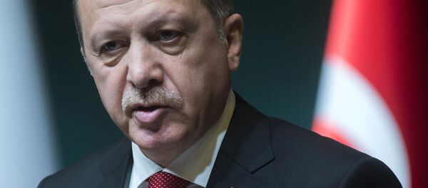 Президент Турецкой республики Реджеп Тайип Эрдоган. Архивное фото - Sputnik Кыргызстан